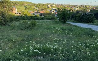⭐  Teren de 2.700 mp cu front generos – Ocazie în Oncea - Poză 2