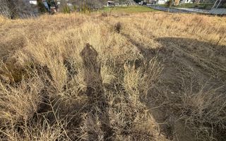 Teren in Faget cu PUZ aprobat! Panorama deosebita! - Poză 4