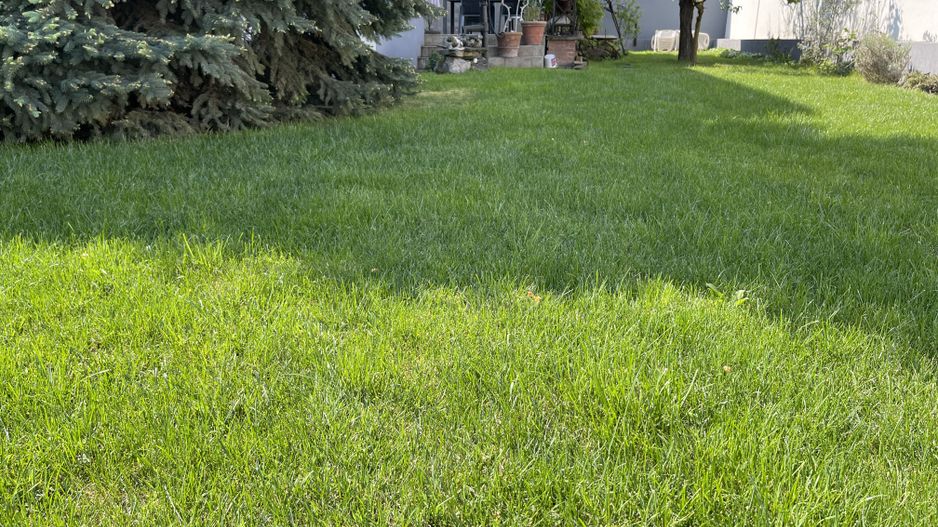 CASA DE VANZARE IN ZONA MIRCEA CEL BATRAN - Poză 23