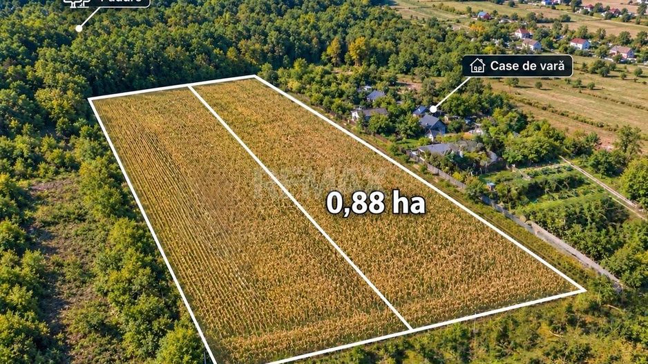 88 Ari Agricol or.Ialoveni - Poză 1