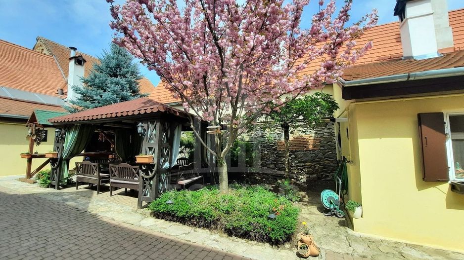 Pensiune de vânzare-9 camere cu baie, restaurant, curte-Apoldu de Sus - Poză 1