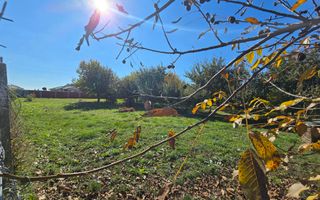 Teren Vetis, 3 parcele de 600mp , zona linistita cu strada asfaltata - Poză 2