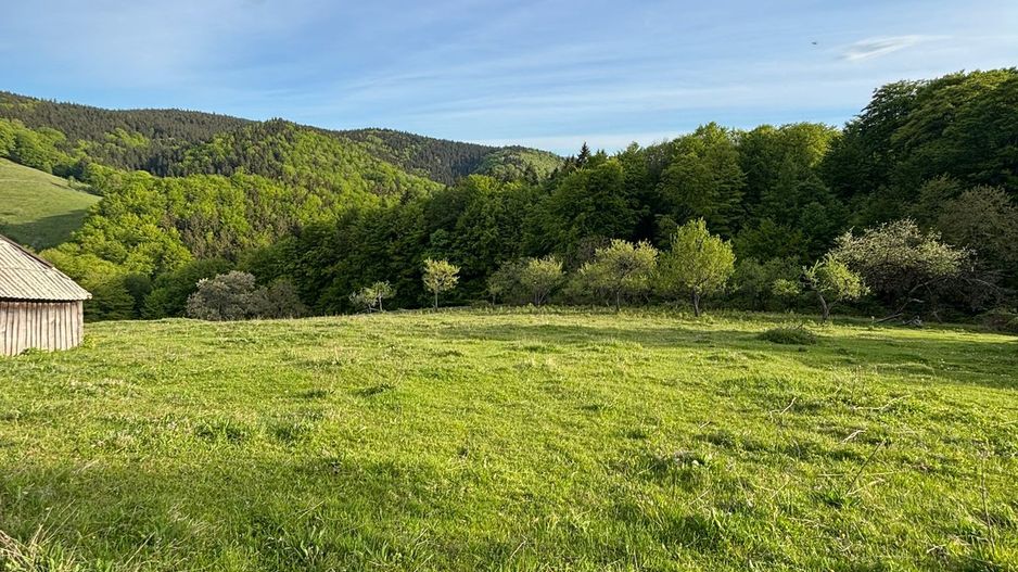 Teren de vânzare în Cugir - Poză 4