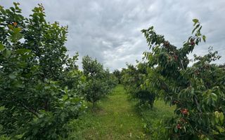 CASA DE VANZARE | INCHIRIERE | DUMBRAVENI | SUCEAVA - Poză 28