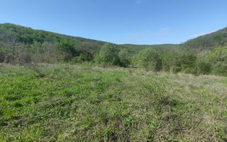 Teren de vis în Stejeriș – utilități, natură, acces rapid! - Poză 7