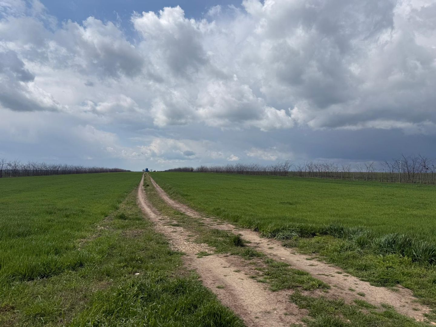 Teren de vanzare in Săcele ideal pentru silozuri, fermă 6 ha - Poză 21