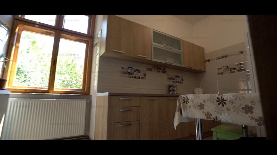 Oferta Conac boieresc P+M,teren 20400 mp - Poză 6