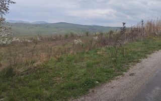 Teren 2100 mp-ideal casa de vacanta, investitie-Budacu de Jos - Poză 1