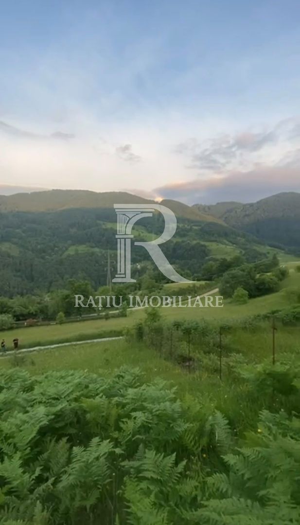 Teren 10.900mp | Panoramă în Apuseni | Remeți -Ideal pentru Investitii - Poză 6