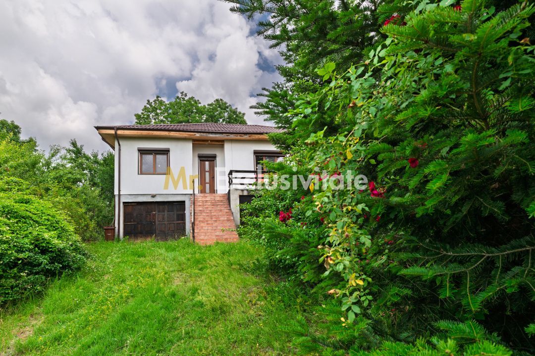 Casa moderna si casa bunicii + 6300 mp teren,Oaza autentica in Corbi Arges- - Poză 3