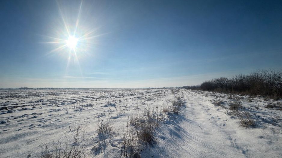 Teren Extravilan | 52 ari | Maneuti | Front 26 m | 55.500 € - Poză 8