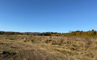 Teren intravilan | Horodnic de Sus – zona Tecioara | 2.900 mp - Poză 4