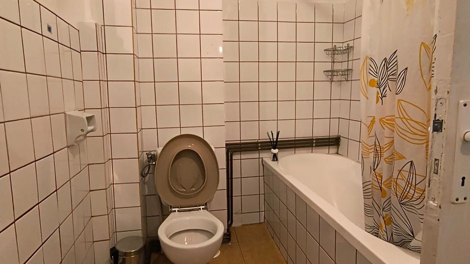 Sala Palatului- Cismigiu- Brezoianu - Poză 7