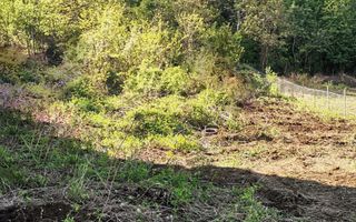 Teren intravilan 1000 mp-ideal afacere,investitie,hala-Zona Centura - Poză 2