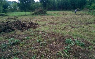 Teren cu PUD de vanzare! Pret excelent! - Poză 2