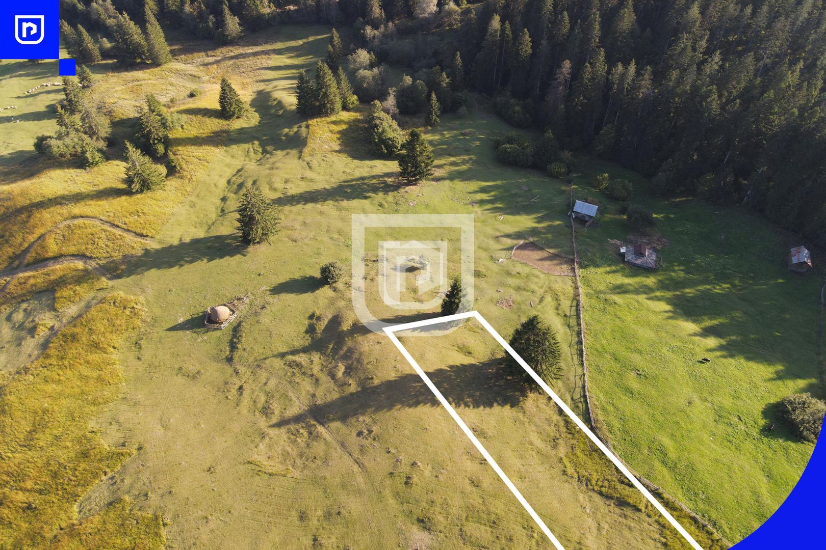 Teren situat in Frasin | BUCOVINA - Poză 5