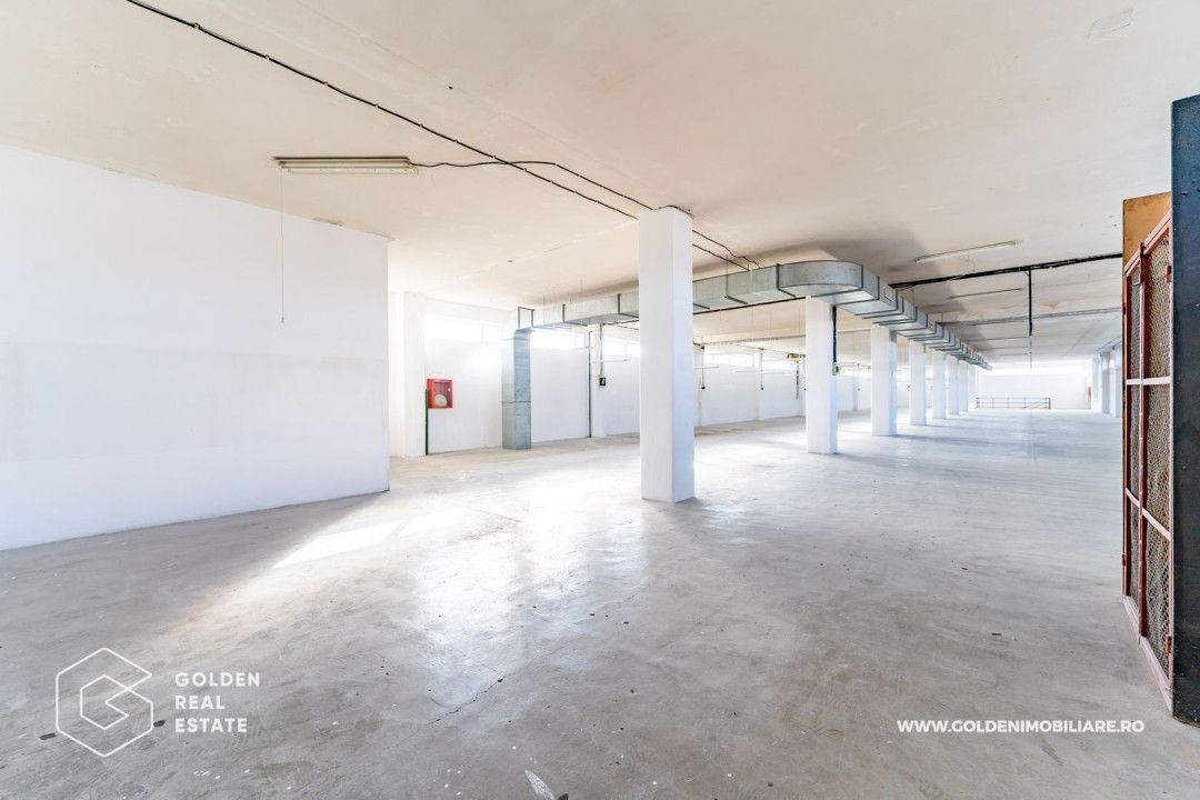 Hala pentu productie In zona Micalaca - Poză 8
