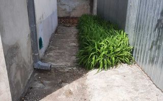 Vilă de vânzare București - Poză 3