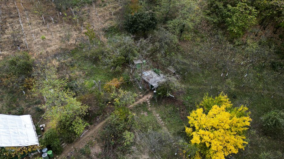 Teren 18,300mp Ghioroc - Poză 7