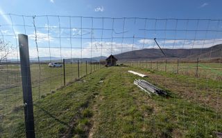 Teren intravilan |1000 MP | Poplaca - Poză 2