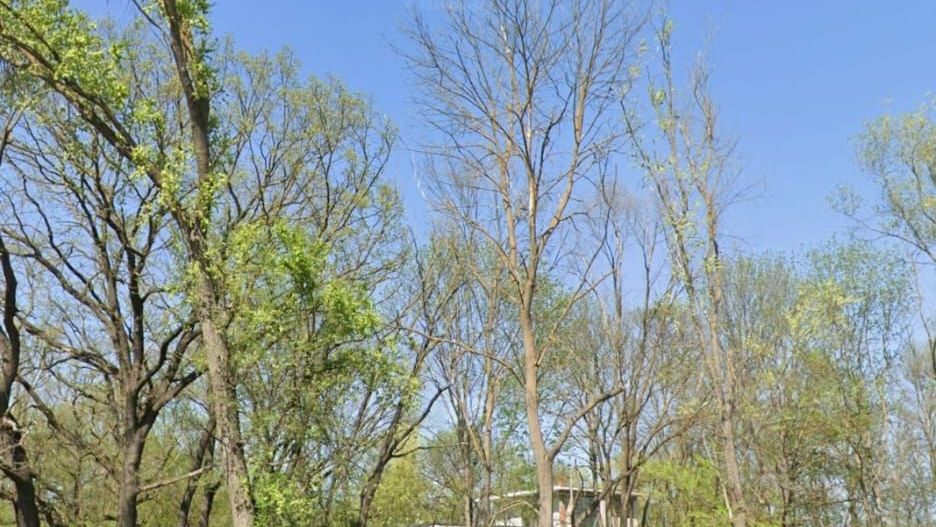 Teren intravilan 1.014 mp | Valu lui Traian | P+4E | Forest M - Poză 4