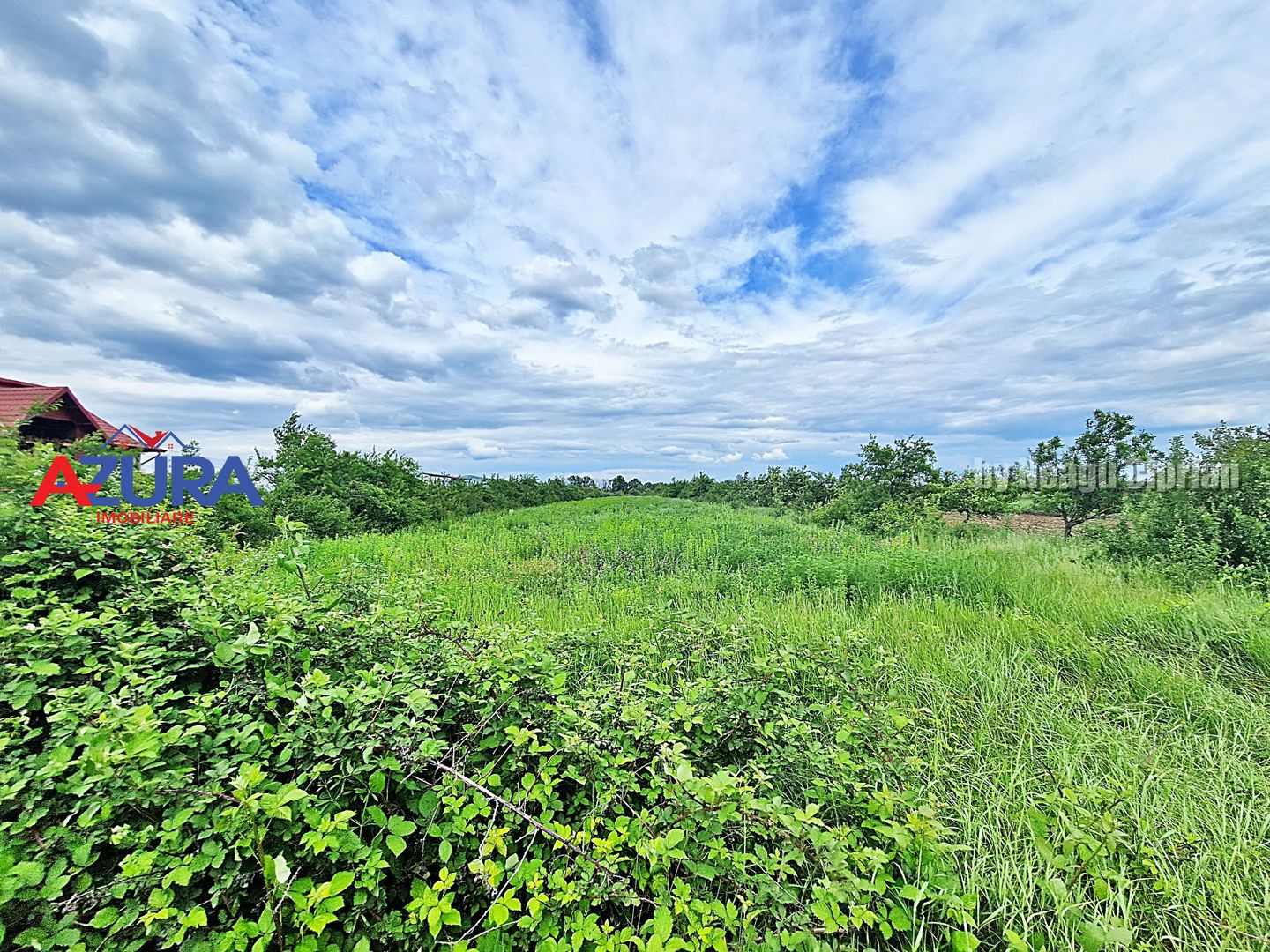 AZURA Imobiliare - Teren Mosoaia - Poză 6