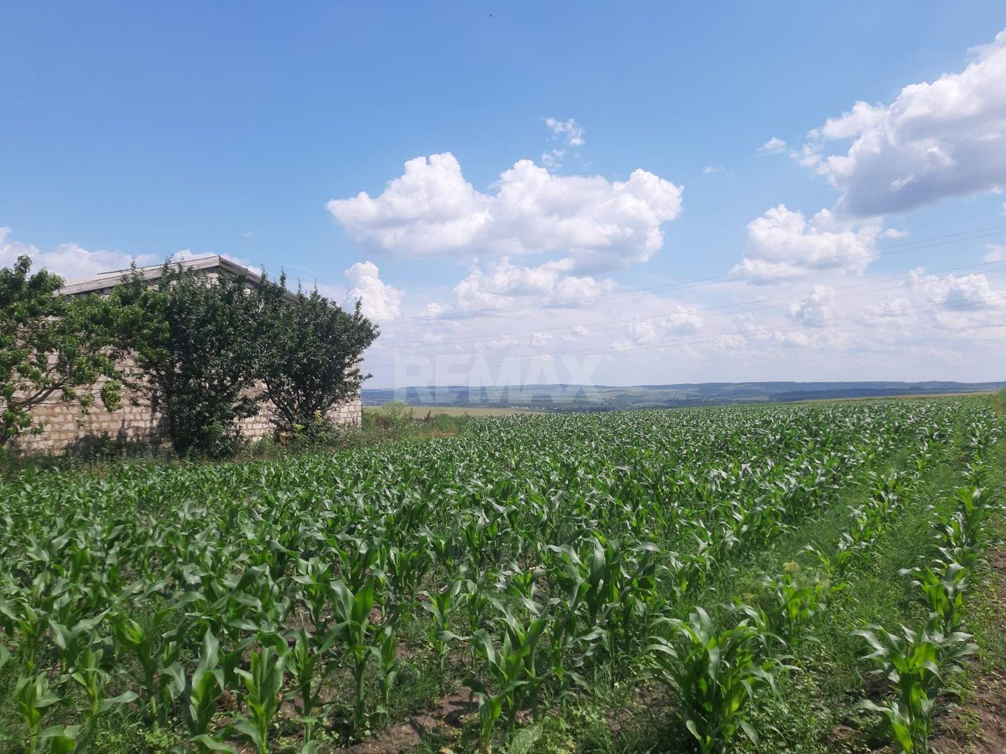 Teren cu spații industriale sau depozitare - Poză 3
