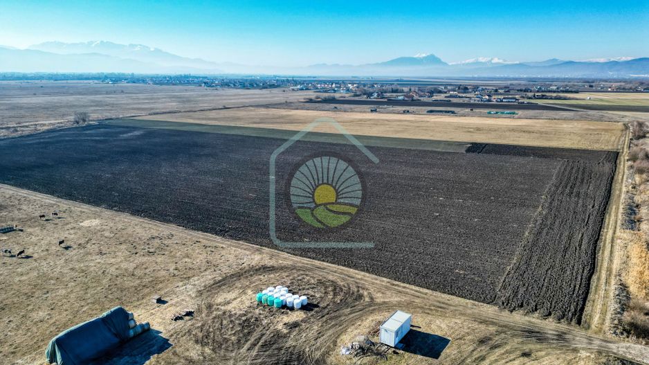 TEREN STUPINI-COMISION 0 - Poză 6