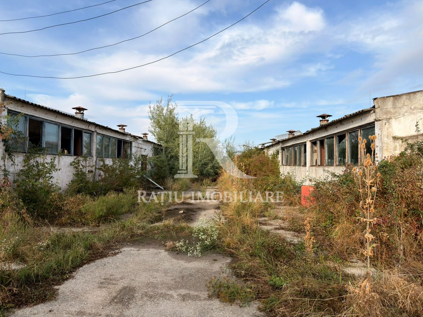 Fermă Sărand | Bihor | 25.659 mp teren intravilan - Poză 16