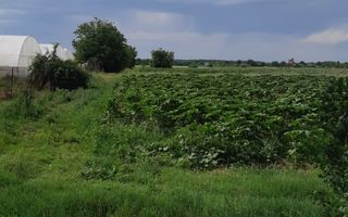 Teren 10.000 mp (1 ha) – Siliștea Snagovului – acces drum comunal – investiție - Poză 1