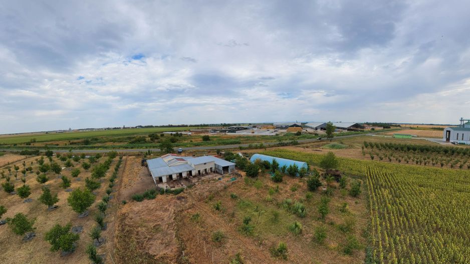 Livadă de 3,6 hectare în Iratoșu – Oportunitate - Poză 9