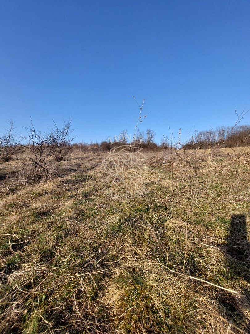 Teren 2100 mp in Zona Valea Stanelor - Poză 1