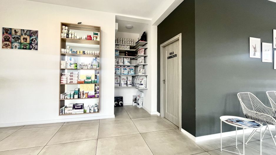 Spatiu comercial, amenajat si compartimentat, in Dumbrăvița - Poză 3