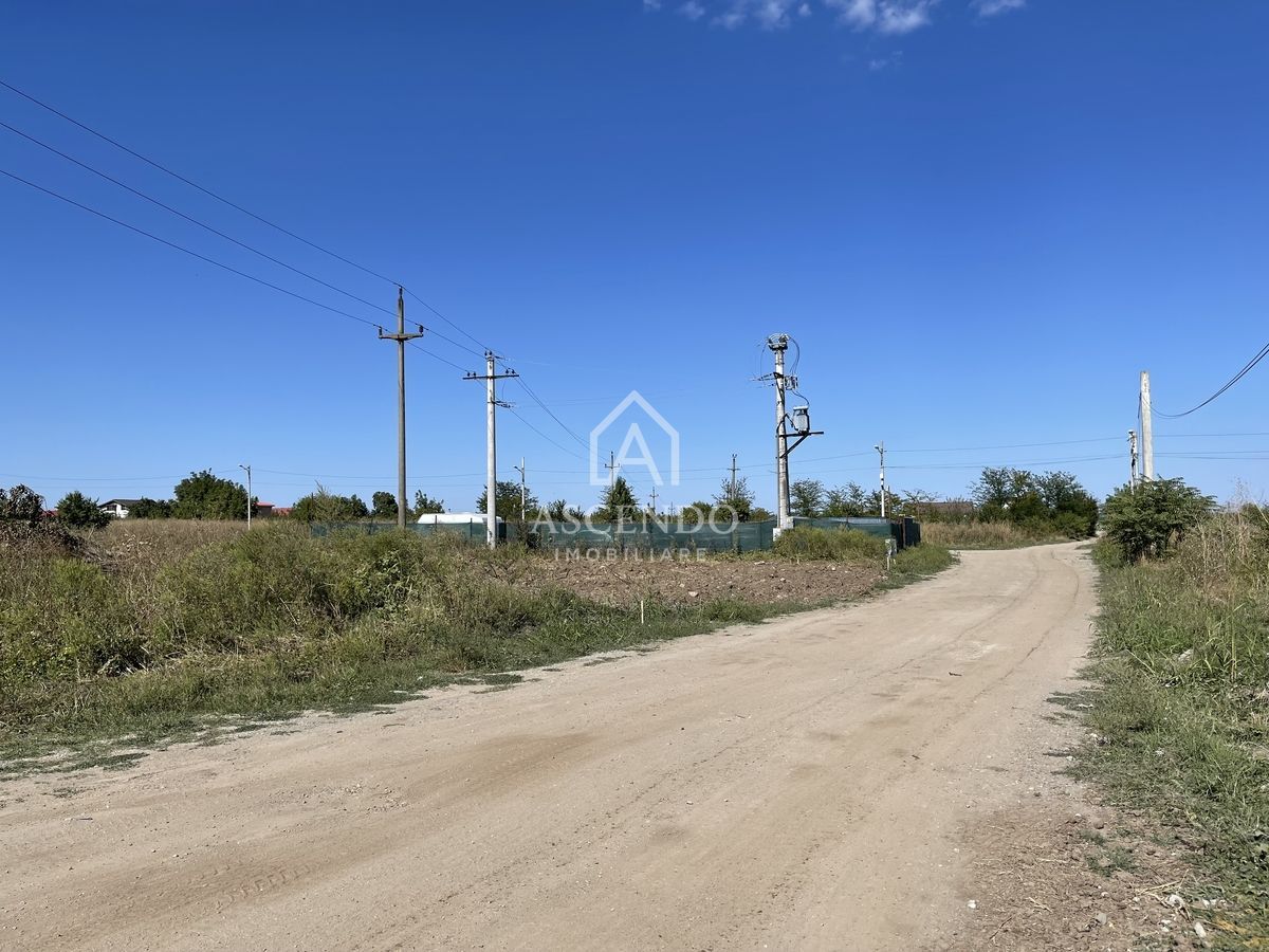 Teren Intravilan 3.000 mp Jilava  Investiție sau Rezidențial - Poză 3