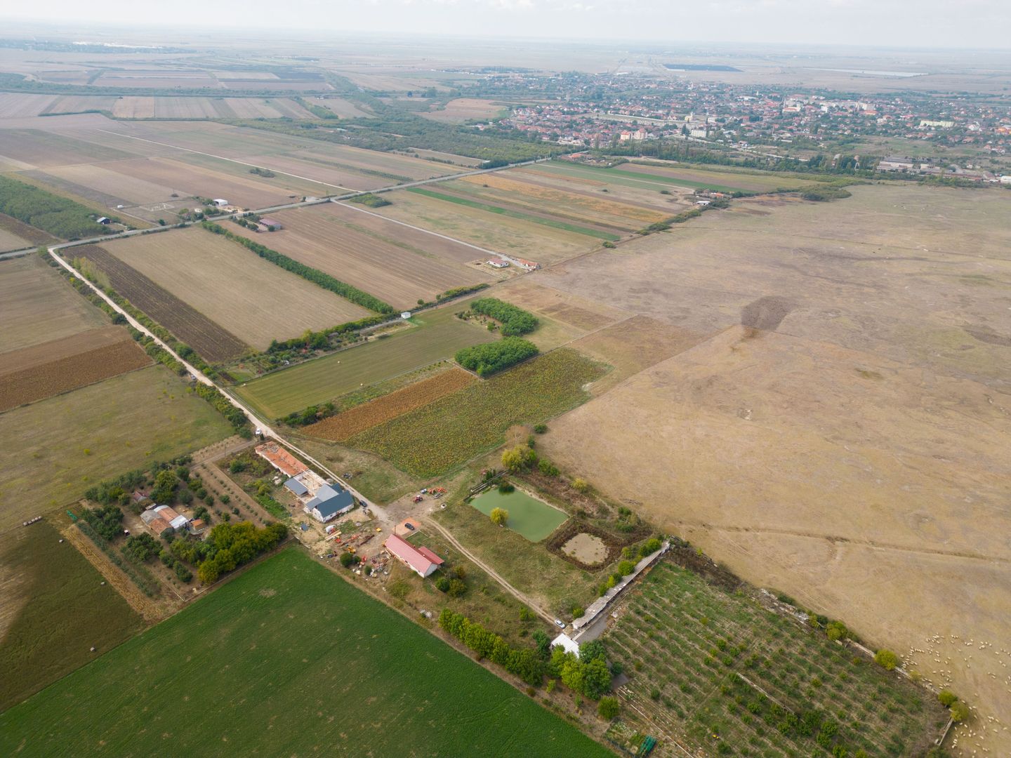 Teren intravilan cu iazuri și casă - Chișineu-Criș - Poză 12