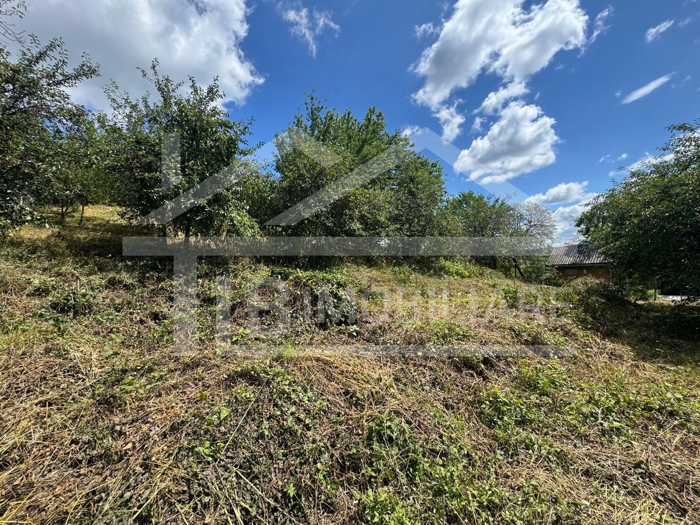 Casa cu 3 camere, 2300mp teren, zona SubPadure - Poză 12
