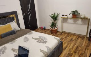Apartament 2 camere Lacramioarei 46 mp - Poză 3