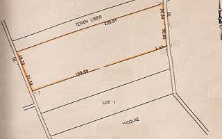 TEREN DE VANZARE 12760MP COMUNA DASCALU - Poză 2