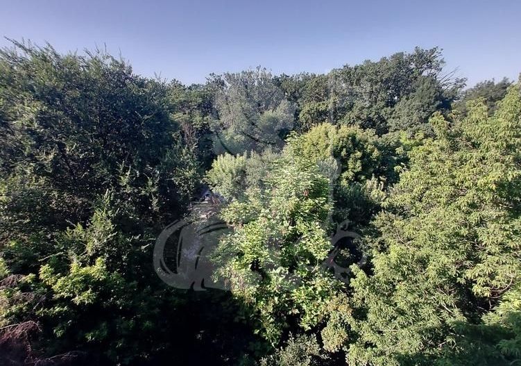 Apartament 3 Camere | Băneasa | Herăstrău - Poză 10