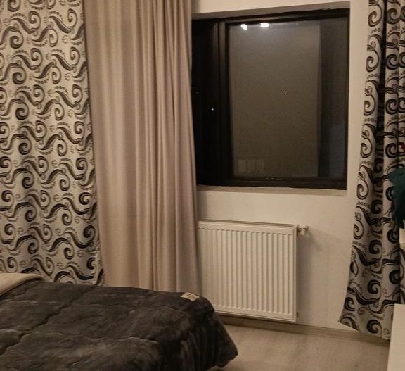 Apartament 2 Camerę Ghencea - Poză 10