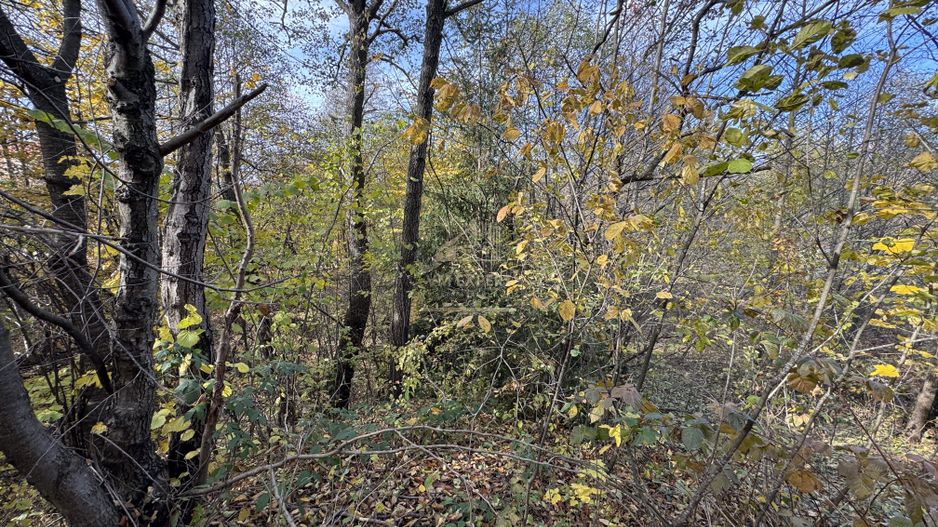 TEREN INTRAVILAN 13167 MP BUGHEA DE SUS ARGES - Poză 24