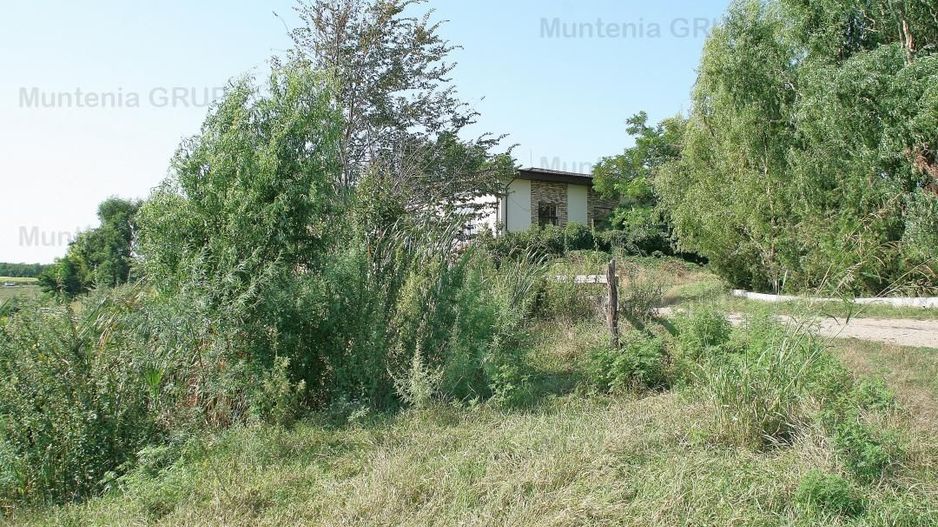Belciugatele - laga Complexul Turistic Valea Iazurilor, 19720 mp. cu deschidere la balta - Poză 5