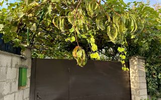 Vânzare, apartament la sol, 3 camere, strada Eugen Coca, Buiucani - Poză 10