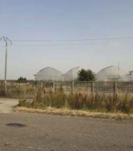 spatiu industrial Uivar Timis - Poză 5