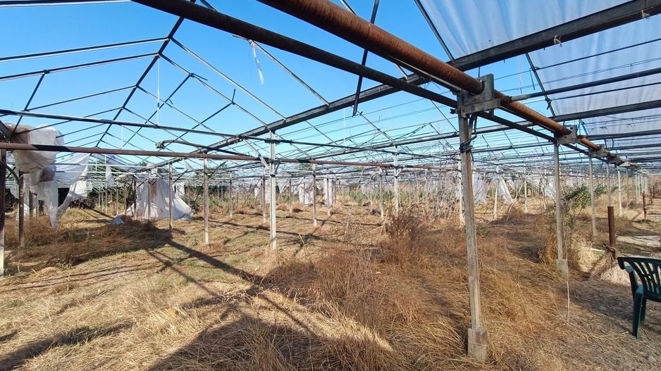 SERĂ INDUSTRIALĂ CU TEREN INTRAVILAN  – OPORTUNITATE RARĂ in Olari - Poză 13