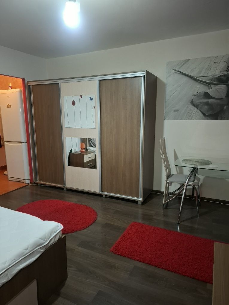 Garsoniera- Lapus - Poză 3