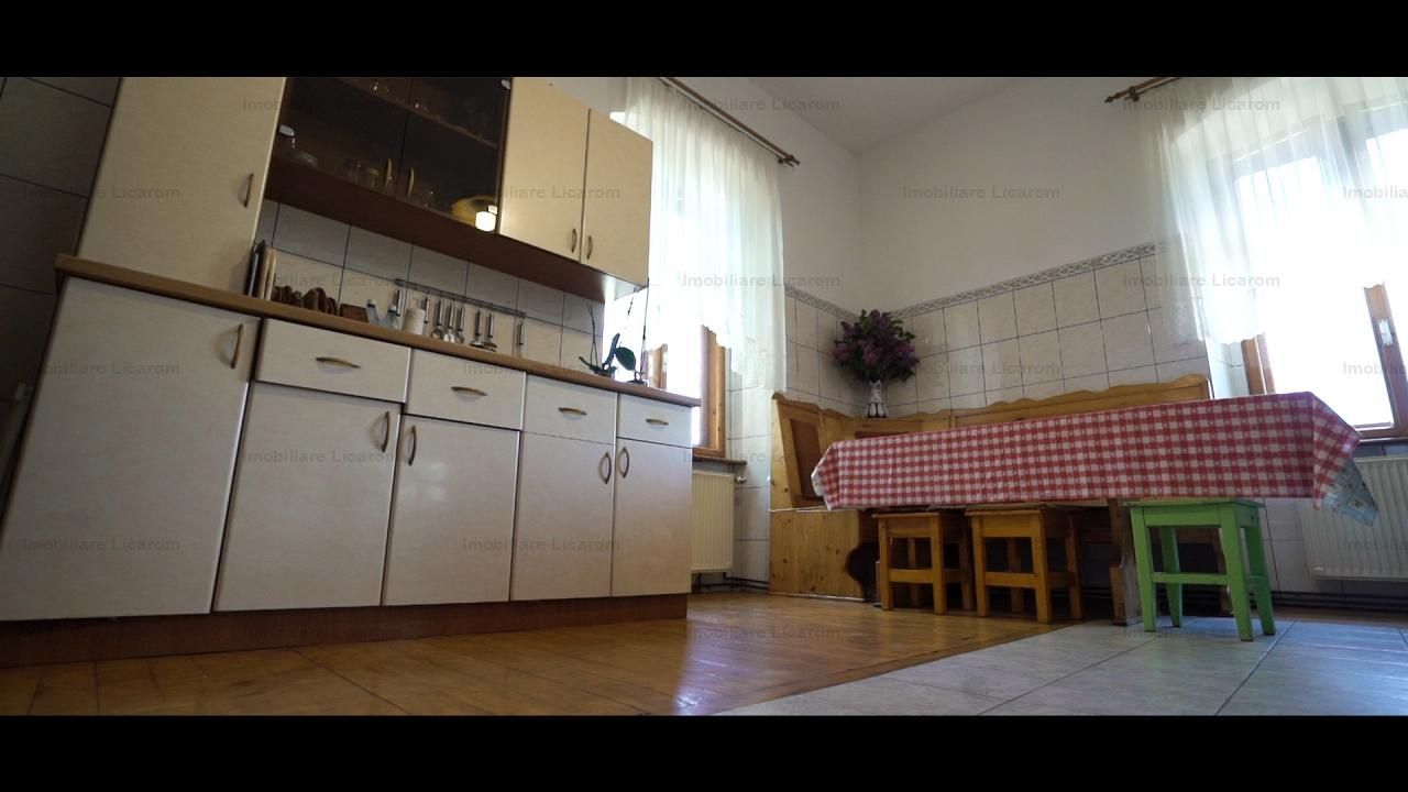 Oferta Conac boieresc P+M,teren 20400 mp - Poză 3