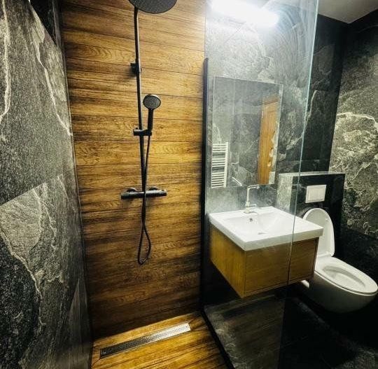 Inchiriere aparatament 2 camere Aviatiei - proprietar - Poză 4