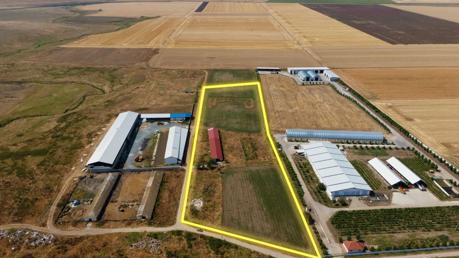 Cogealac - Tariverde – Ferma cu teren intravilan, utilitati racordate! - Poză 3