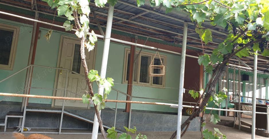 Vand casa bătrânesca - Poză 3